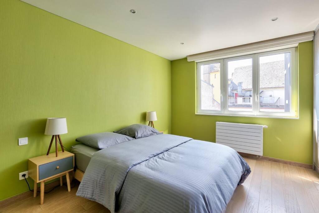 Appartement Spacieux Au Coeur De Στρασβούργο Εξωτερικό φωτογραφία